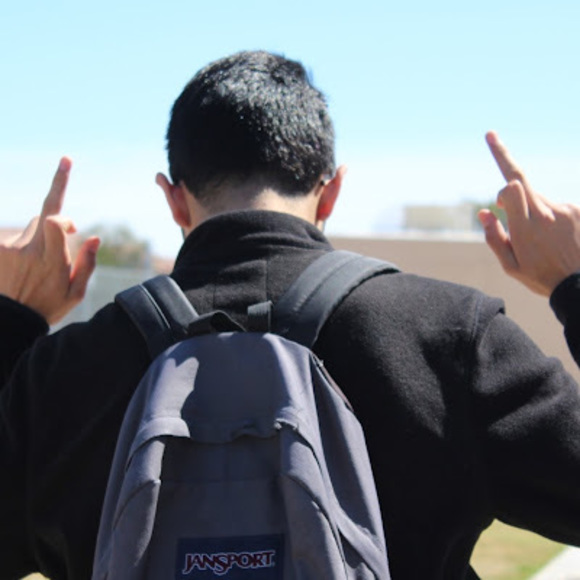 Meet your Posher, Benjamin - Picture 1 of 1